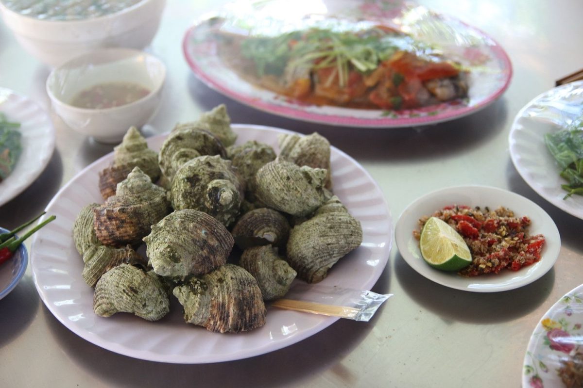 Thông Tin Du Lịch