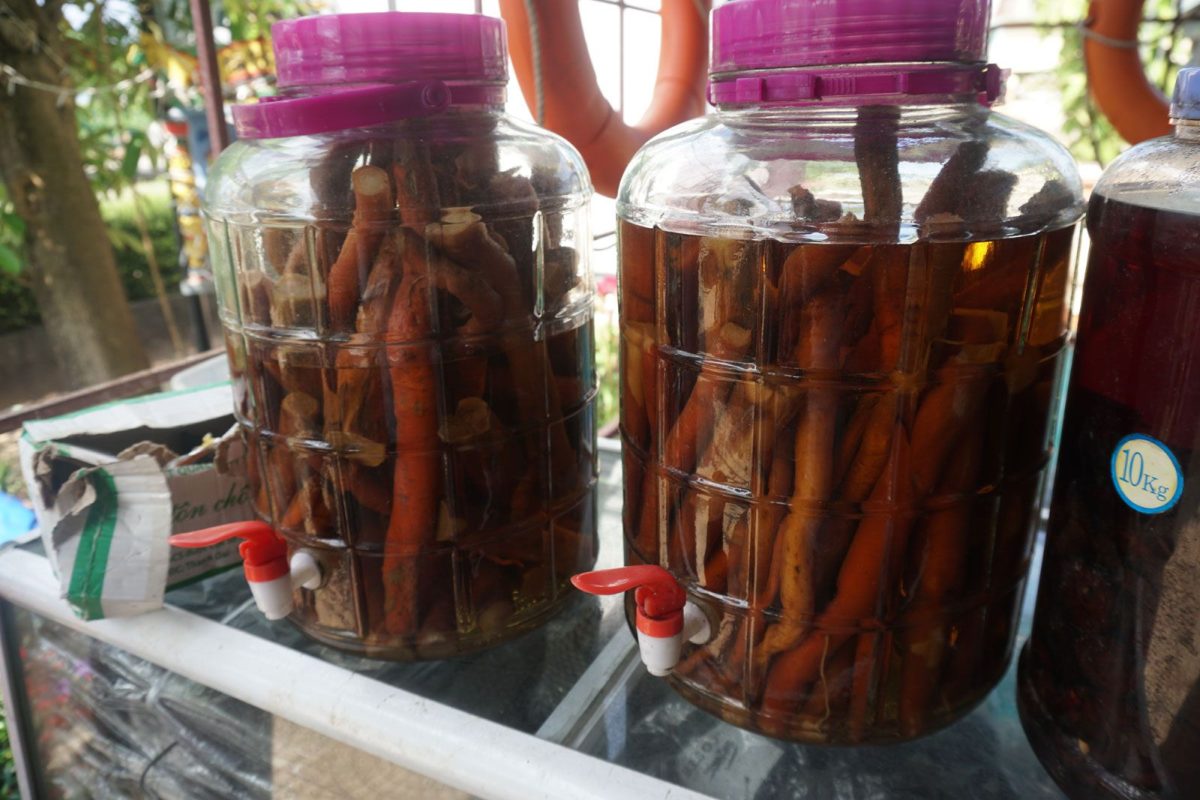 Thông Tin Du Lịch