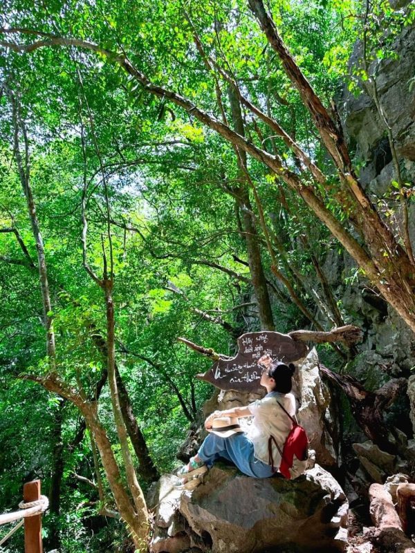 Thông Tin Du Lịch